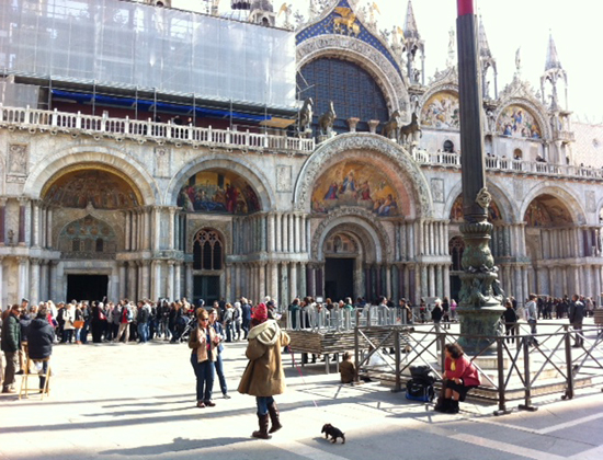 Renata i Evasion BIJOU - w wieku 3 miesi�cy