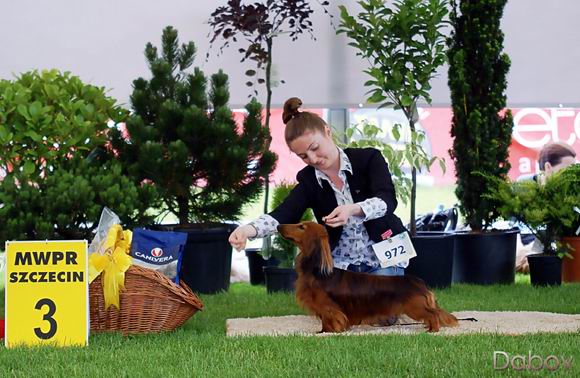BRUNO Rude - SZCZECIN 2015
