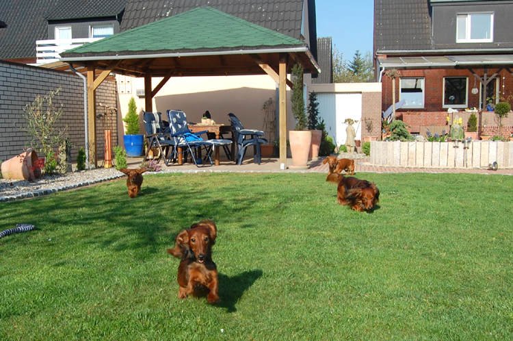 foto: Lucyna Pasierbek