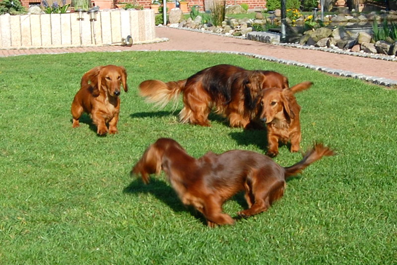 foto: Lucyna Pasierbek