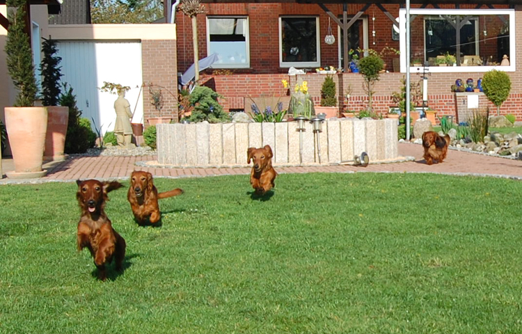 foto: Lucyna Pasierbek