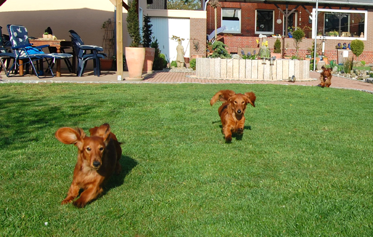 foto: Lucyna Pasierbek