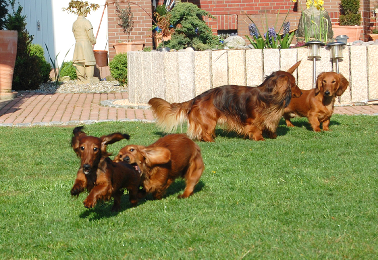 foto: Lucyna Pasierbek