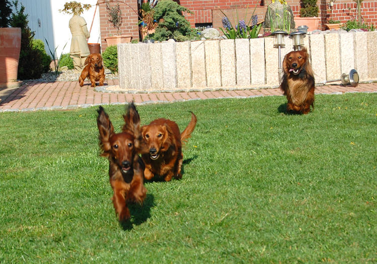 foto: Lucyna Pasierbek