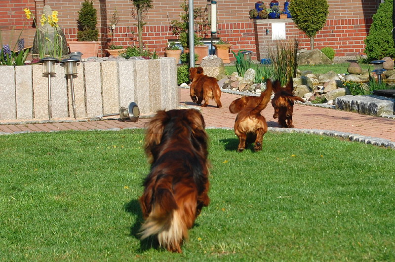 foto: Lucyna Pasierbek