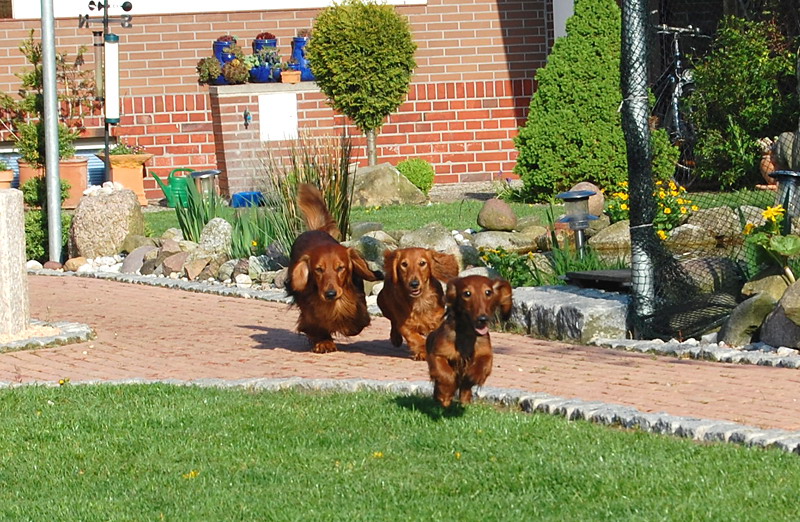 foto: Lucyna Pasierbek