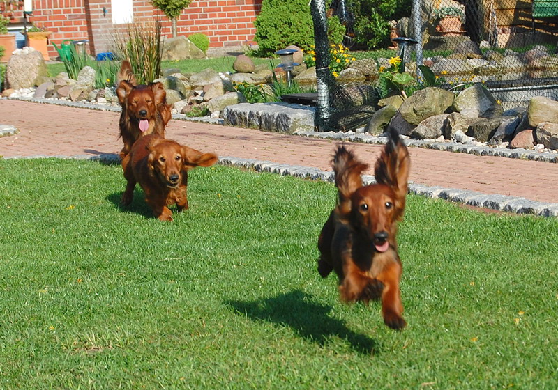 foto: Lucyna Pasierbek