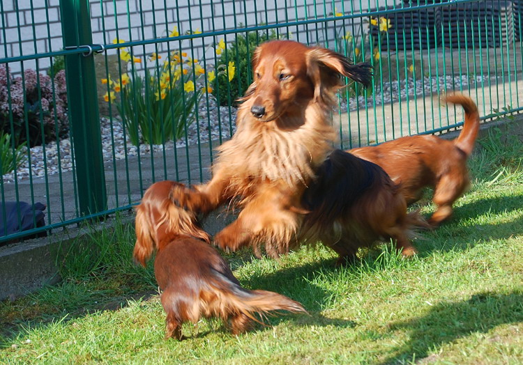 foto: Lucyna Pasierbek