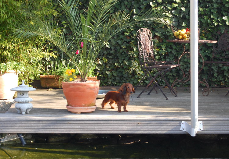 foto: Lucyna Pasierbek