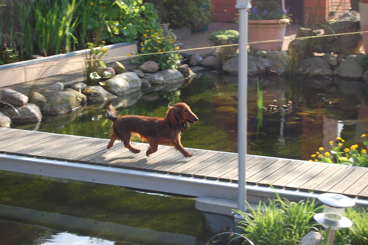 foto: Lucyna Pasierbek