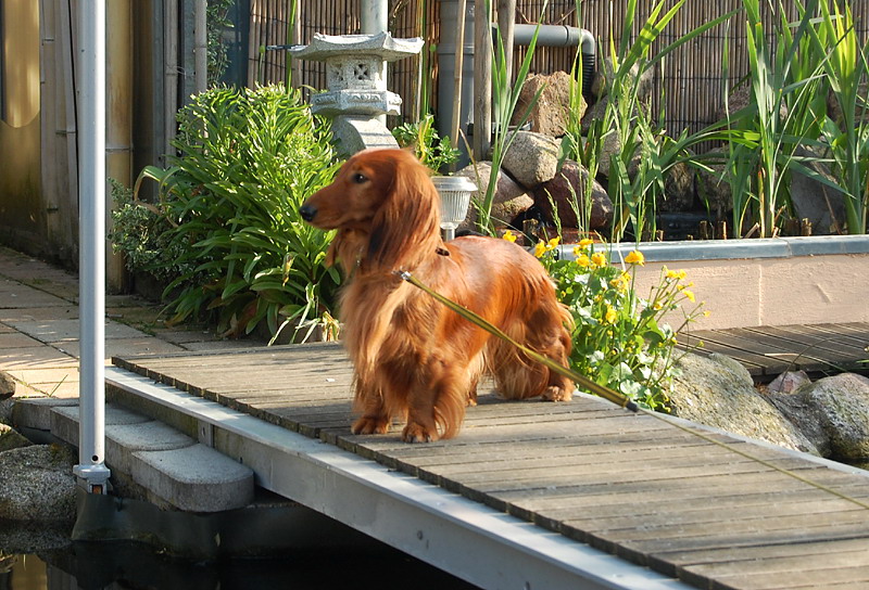 foto: Lucyna Pasierbek