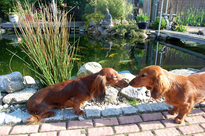 foto: Lucyna Pasierbek