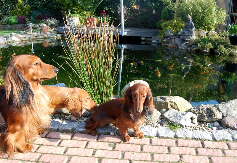 foto: Lucyna Pasierbek