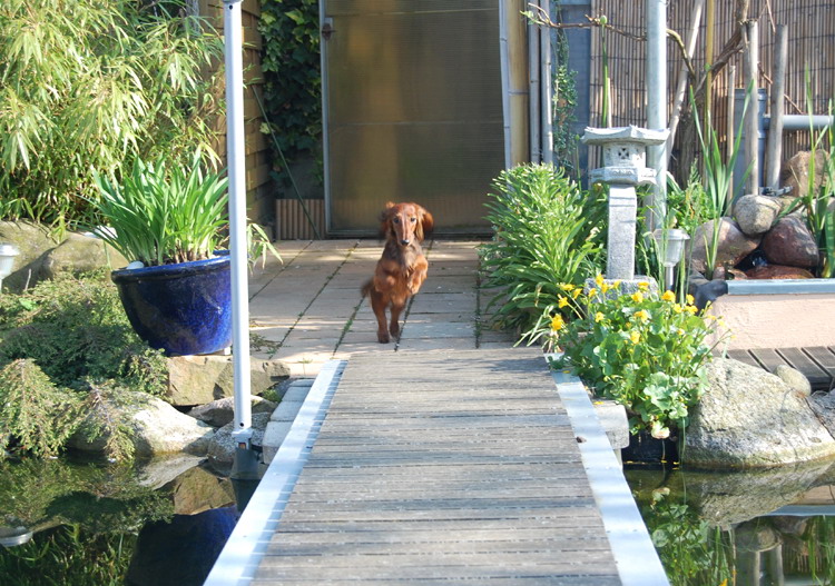 foto: Lucyna Pasierbek