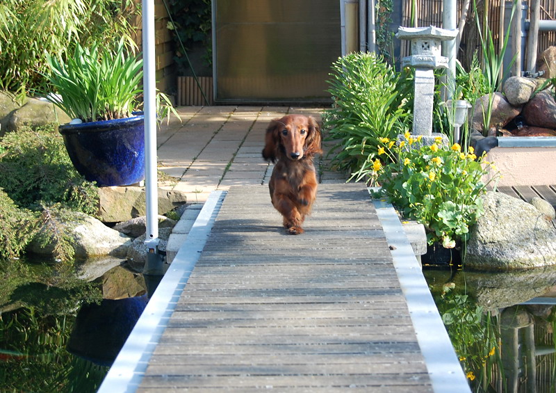 foto: Lucyna Pasierbek