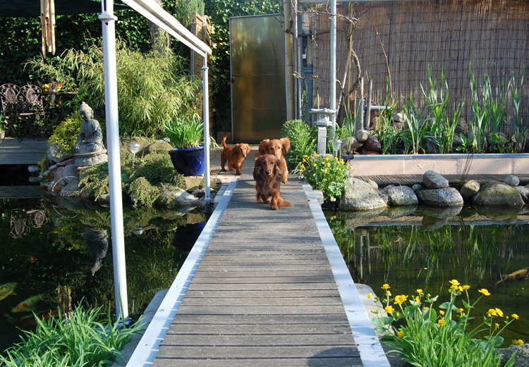 foto: Lucyna Pasierbek