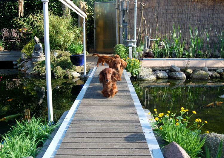 foto: Lucyna Pasierbek