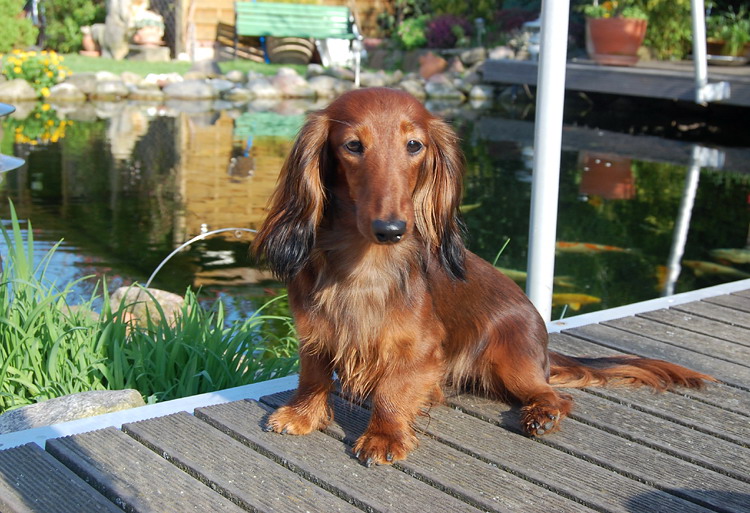 foto: Lucyna Pasierbek