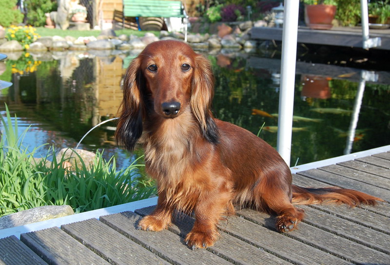 foto: Lucyna Pasierbek