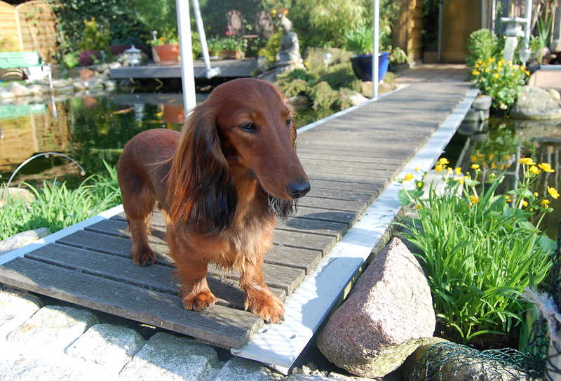 foto: Lucyna Pasierbek