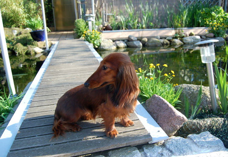 foto: Lucyna Pasierbek