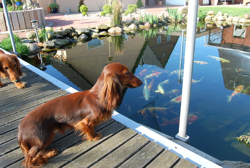 foto: Lucyna Pasierbek