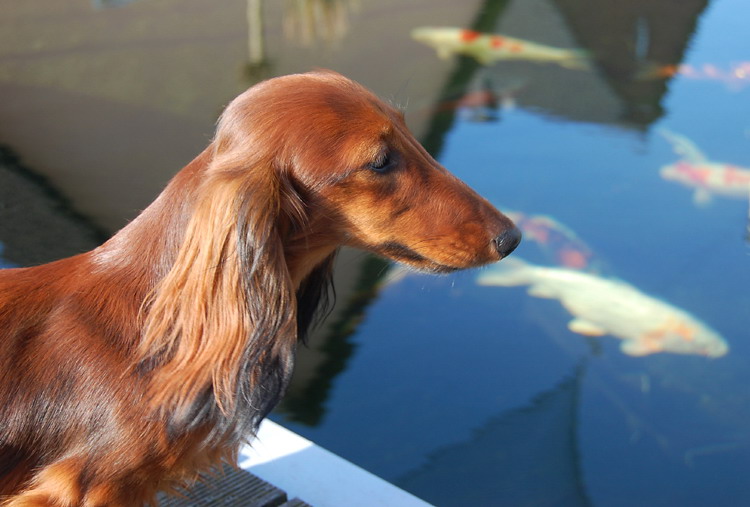 foto: Lucyna Pasierbek