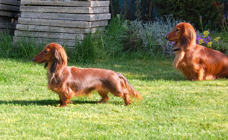 foto: Lucyna Pasierbek