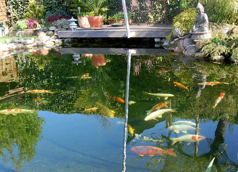 foto: Lucyna Pasierbek