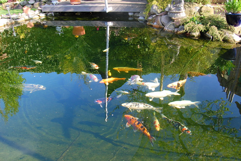 foto: Lucyna Pasierbek