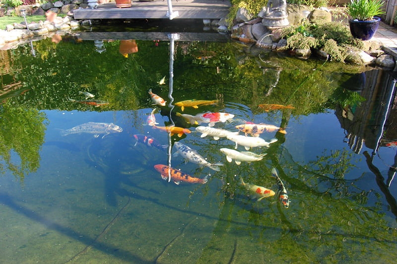 foto: Lucyna Pasierbek