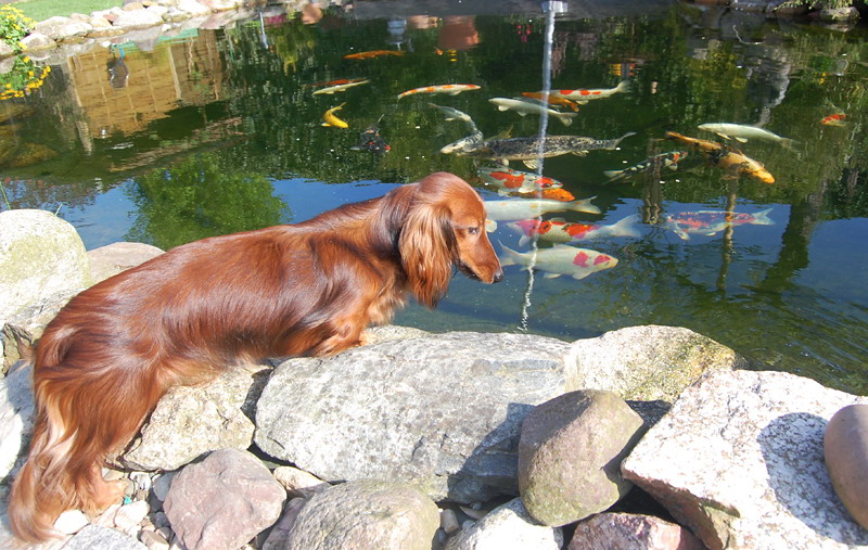 foto: Lucyna Pasierbek