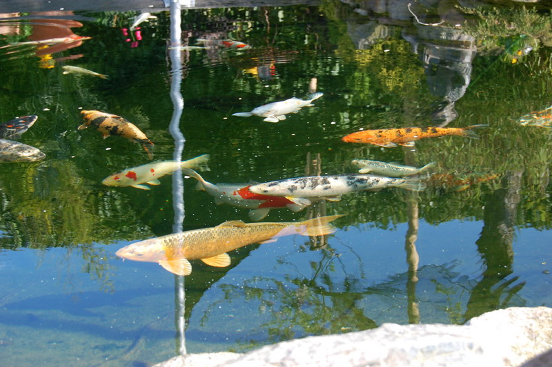 foto: Lucyna Pasierbek