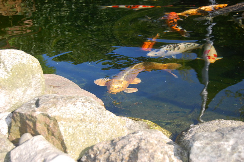 foto: Lucyna Pasierbek