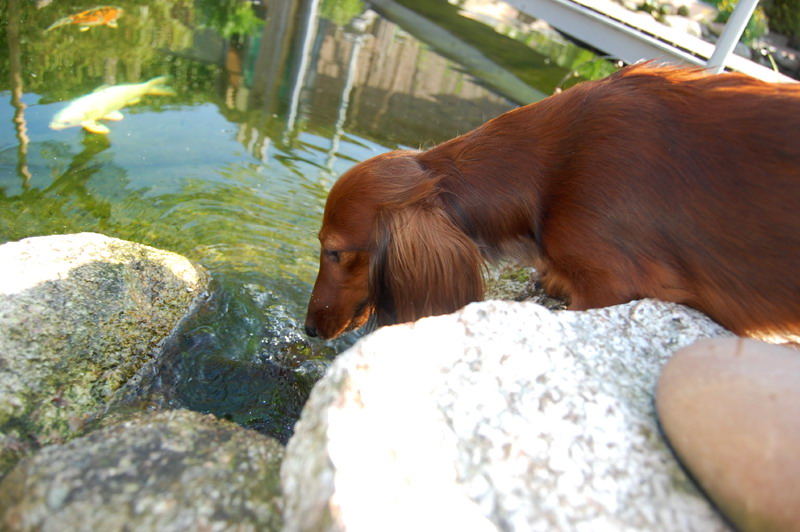 foto: Lucyna Pasierbek