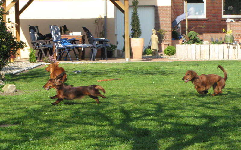 foto: Dorota Masiewicz