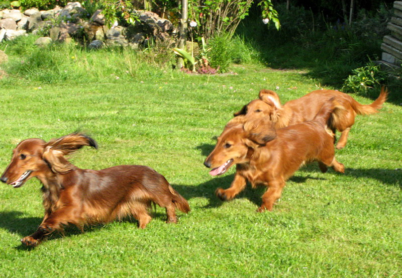 foto: Dorota Masiewicz