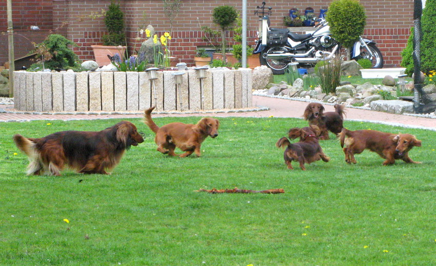 foto: Dorota Masiewicz