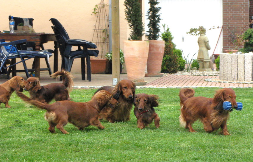 foto: Dorota Masiewicz