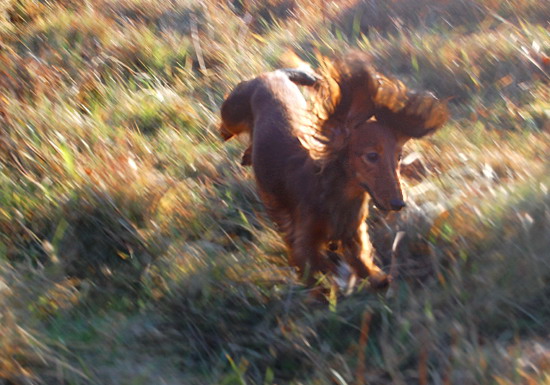 ...i w promykach grudniowego słoneczka