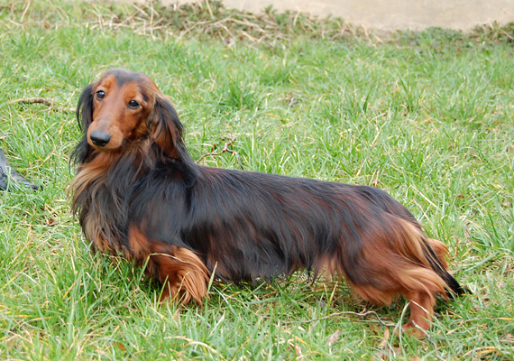 foto: Lucyna Pasierbek