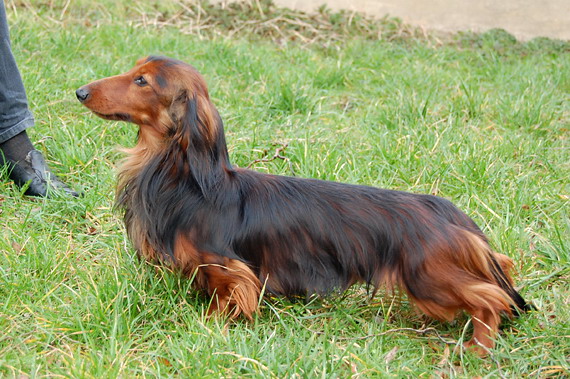 foto: Lucyna Pasierbek