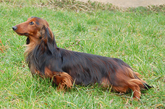 foto: Lucyna Pasierbek