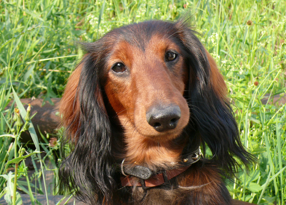 foto: Lenka Fairaislova