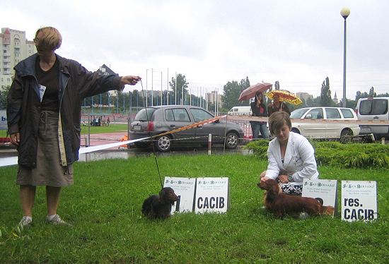 Kraków 2009