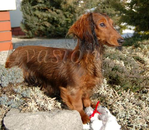 foto : Jolanta Ogrodzka