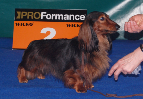 foto: Lucyna Pasierbek