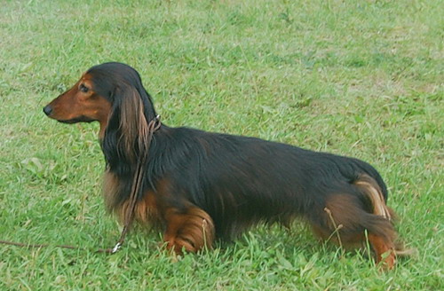 foto: Lucyna Pasierbek