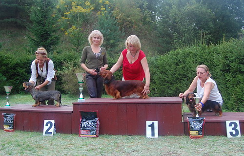 foto: Lucyna Pasierbek