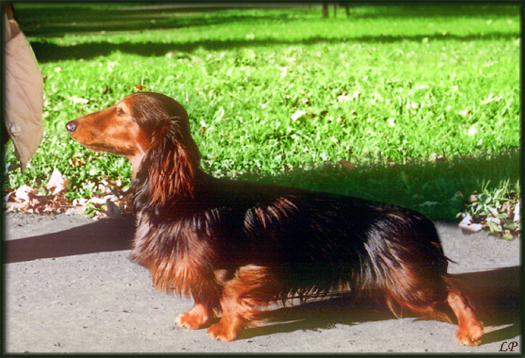 foto: Lucyna Pasierbek